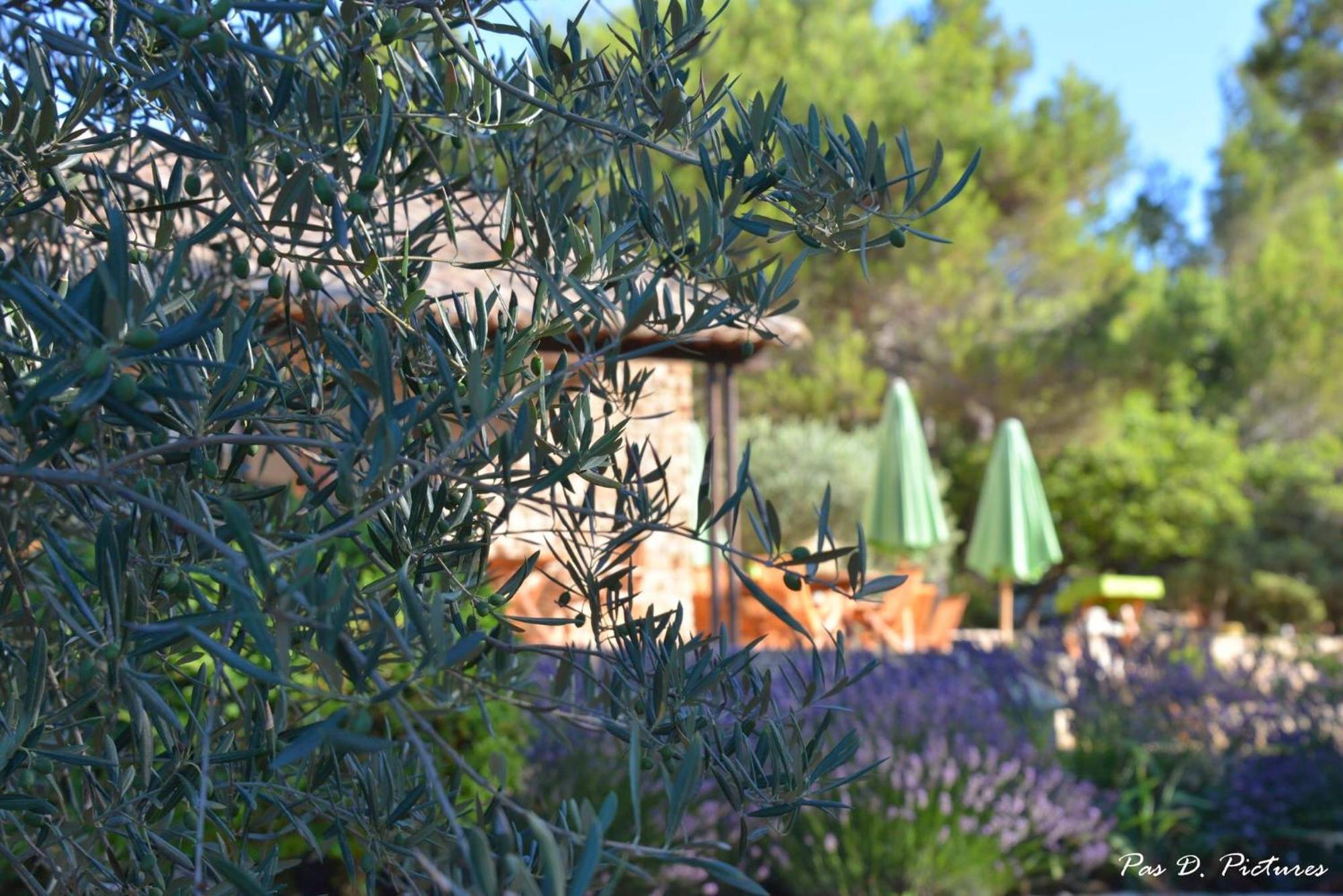 Le Jas De Joucas Hotel-Restaurant Exterior foto
